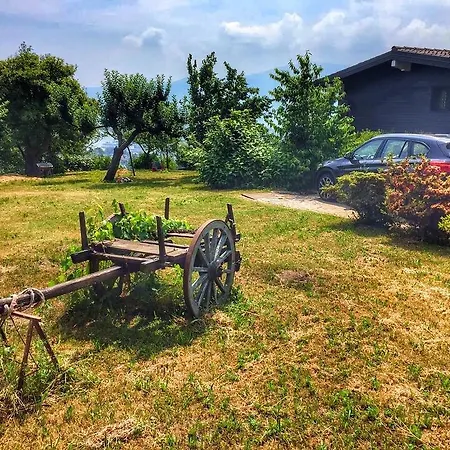 Amore Arizzano